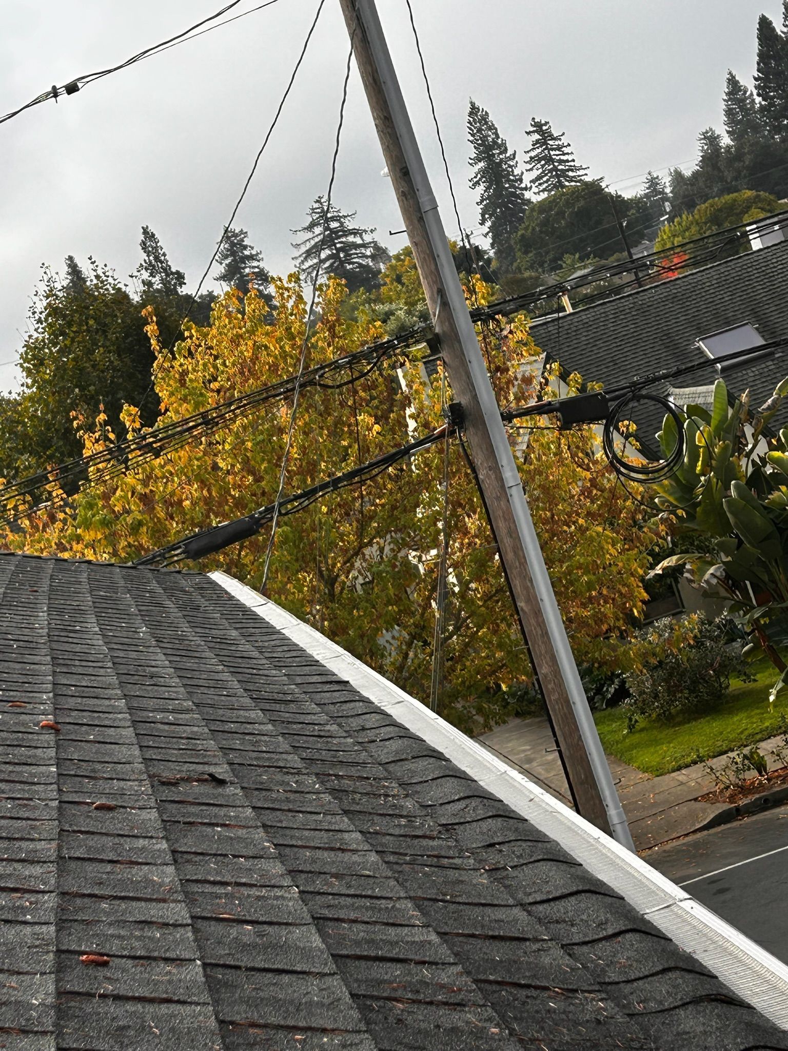 Rooftop with shingles and white trim, utility pole with wires, trees with yellow leaves in the background.
