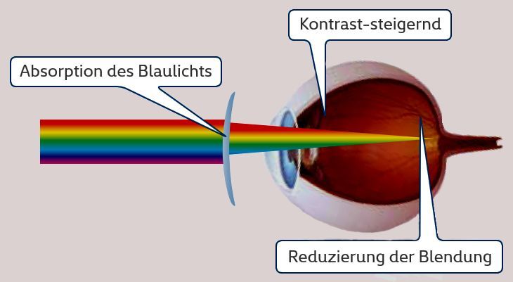 Ein Computer, ein, Tablet, ein Smartphone und ein Fernseher, die von einer Linse reflektiert werden.