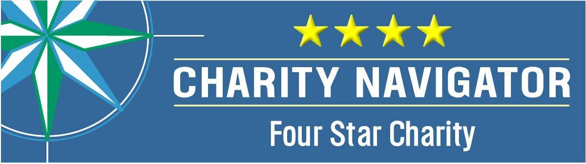 4Star 234×60