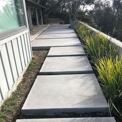 A concrete walkway leading to a house surrounded by plants.