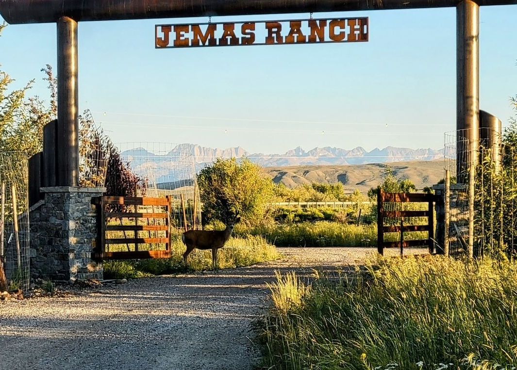 Jemas Ranch's entrance sign.