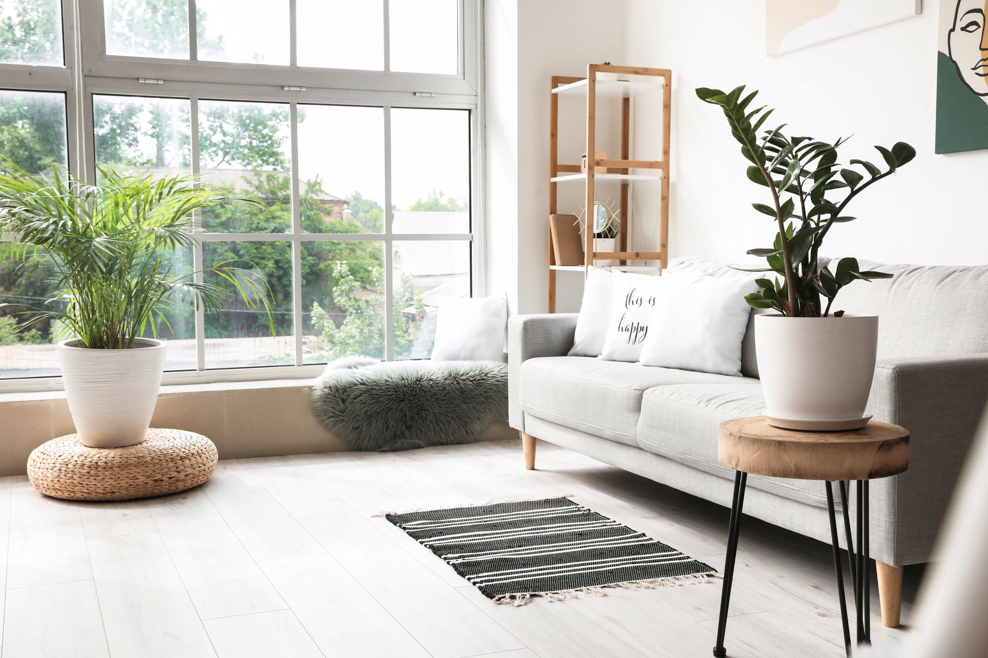 A living room with a couch , rug , potted plants and a large window.