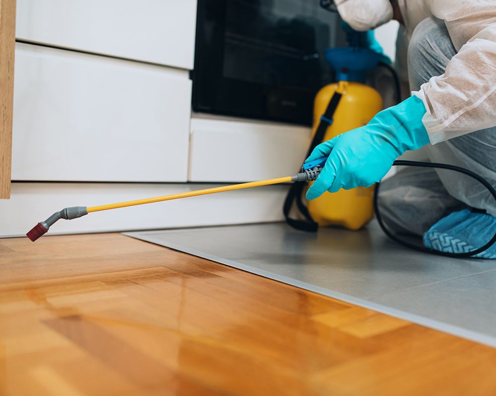 Effective Pest Solutions Sevierville, TN Ron Smith