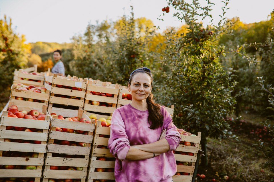 cassette di legno per ortofrutta