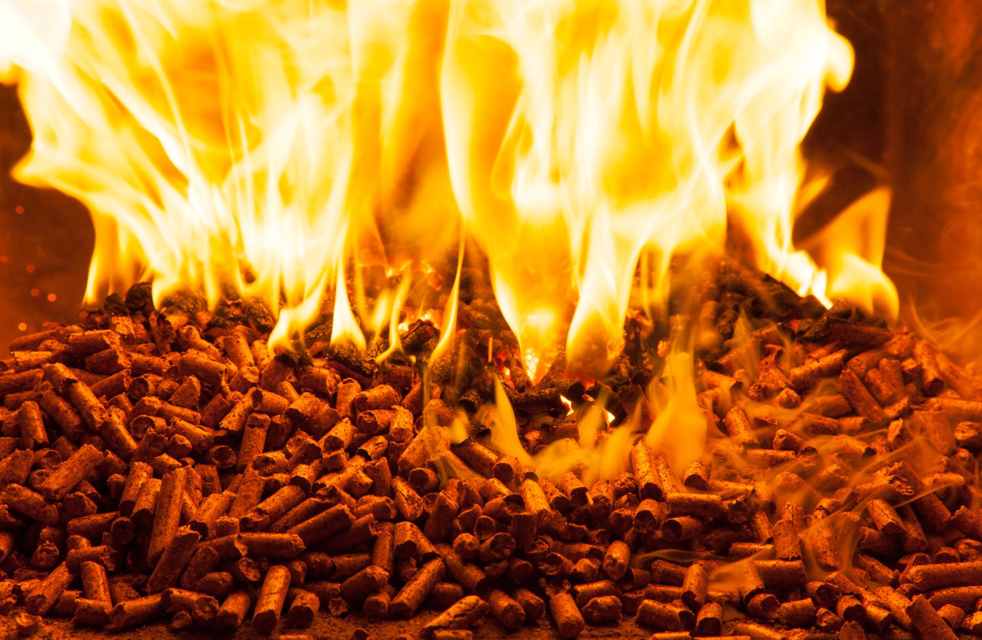 pellet