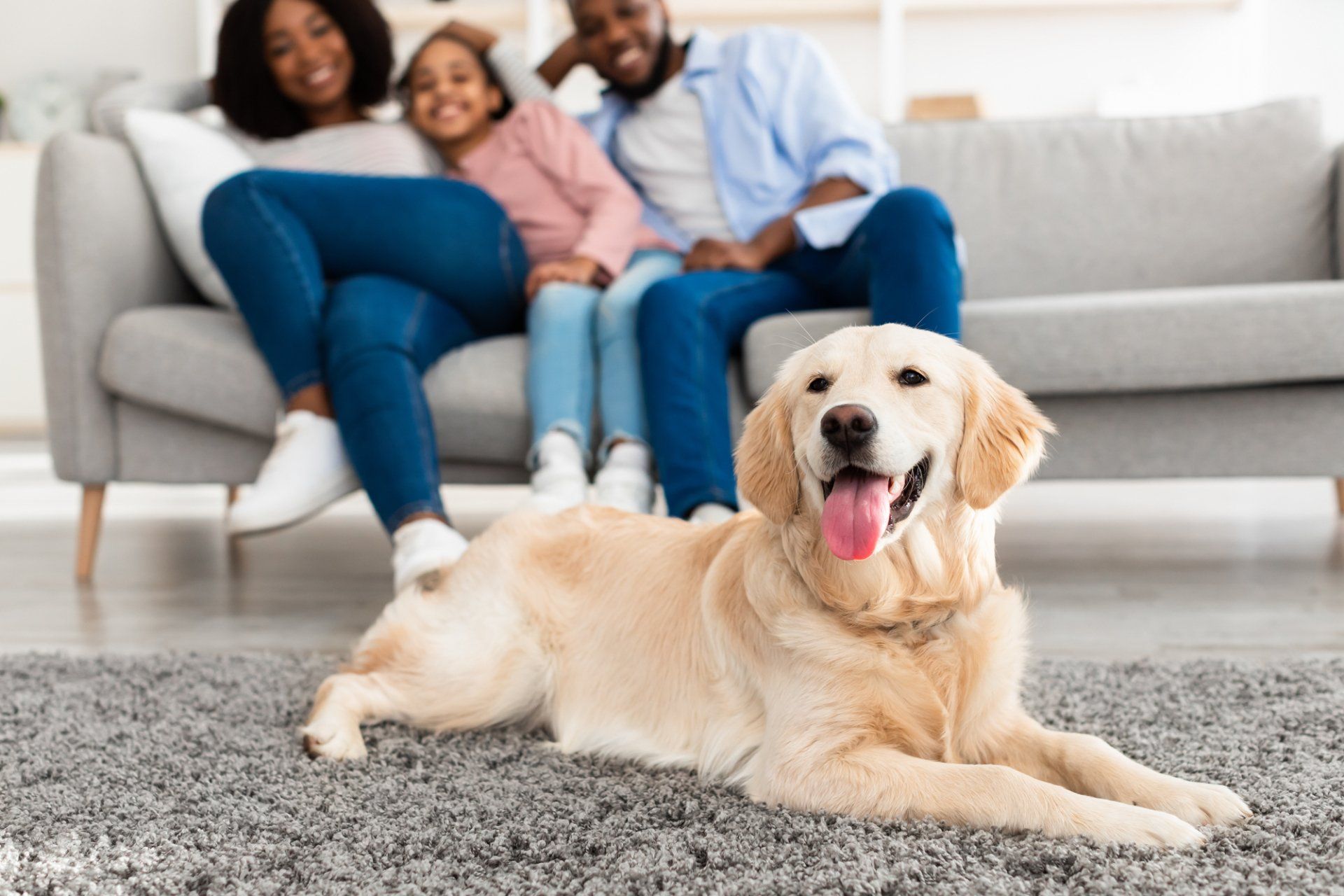 Keep Dog Hair Out of Your Mid-Missouri Home’s Air Filters & Call Controlled Heating & Cooling!