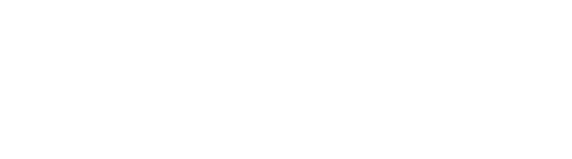 Vitruvian Fitness Wheat Ridge transparent logo