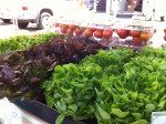 Farmers Market at Vitruvian Fitness