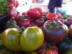 Farmers Market at Vitruvian Fitness