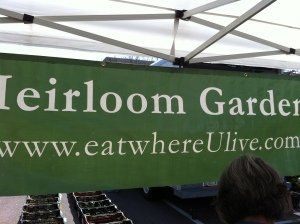 Farmers Market at Vitruvian Fitness