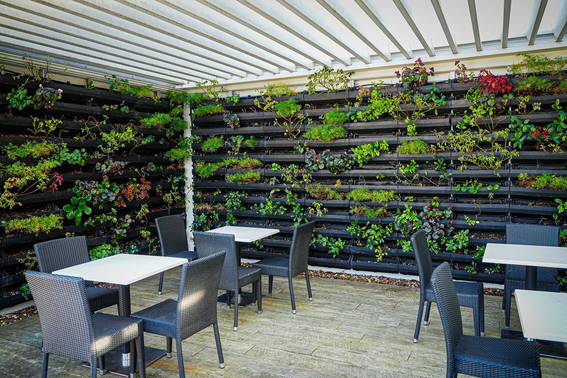 jardin sur le toit