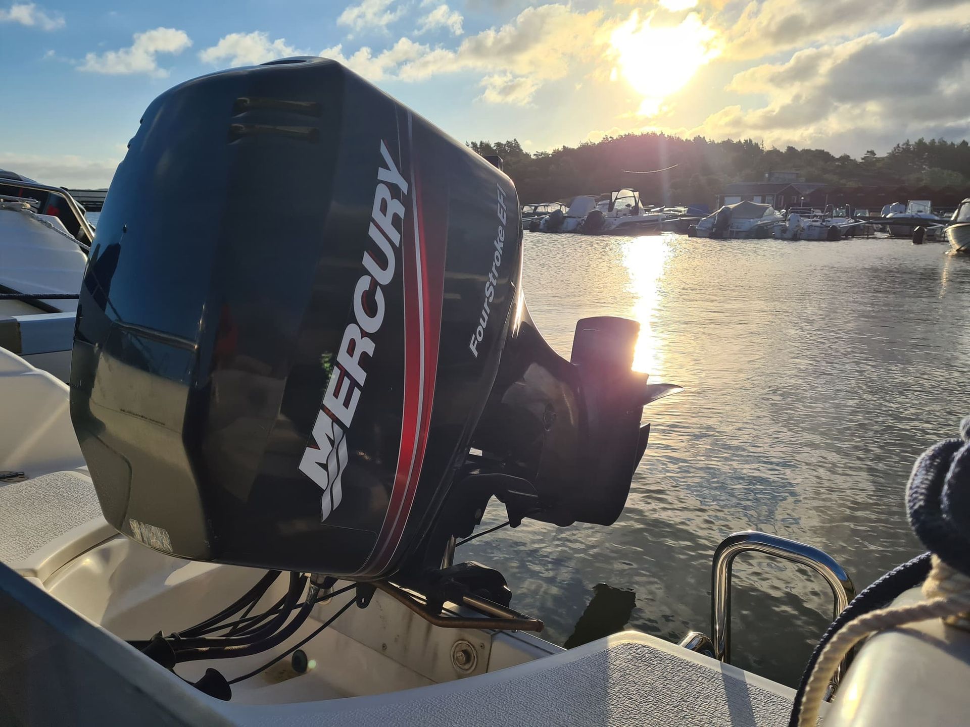 Outboard Motor Repair in Palm Harbor, FL