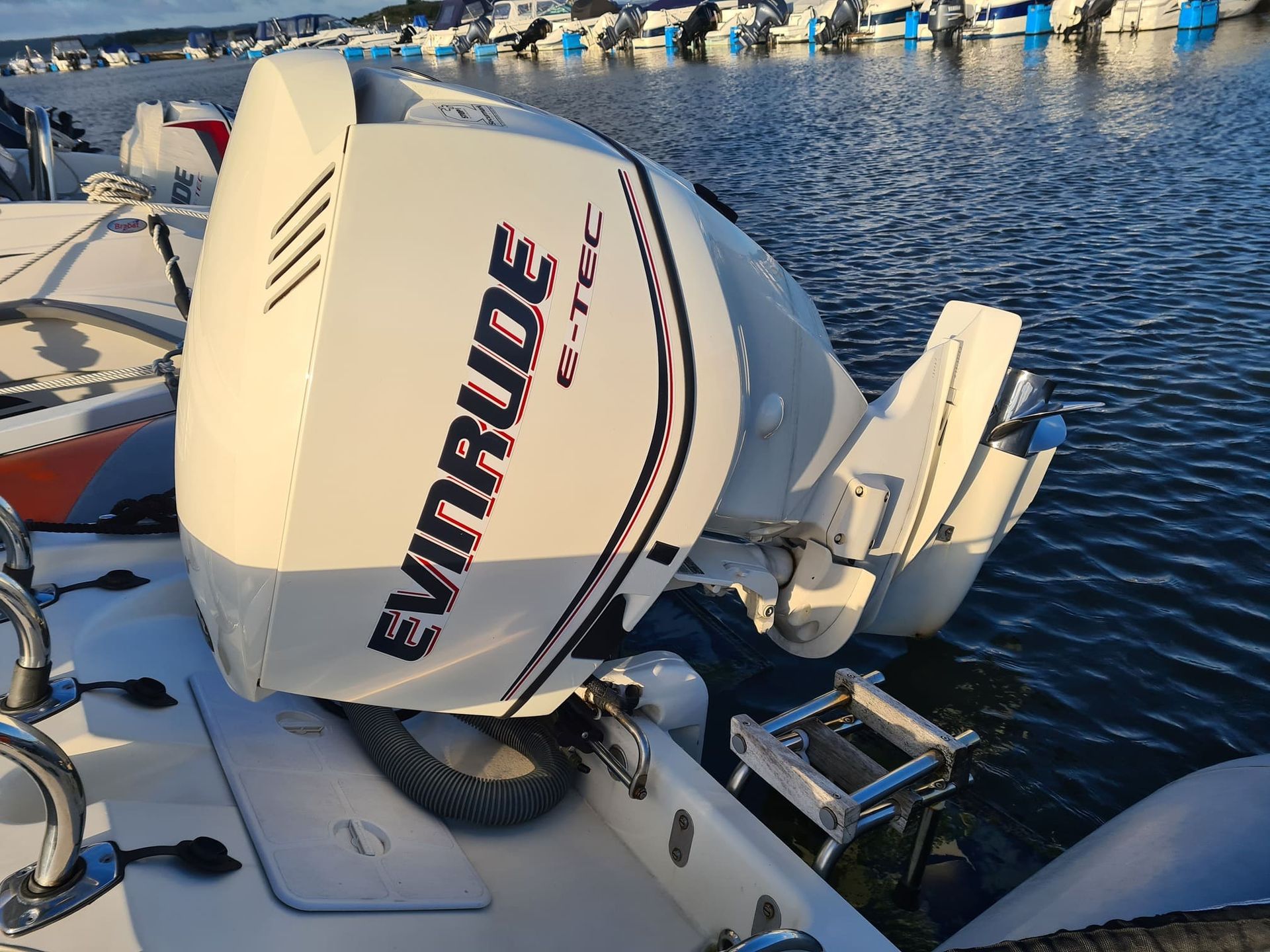 Outboard Motor Repair in Largo, FL