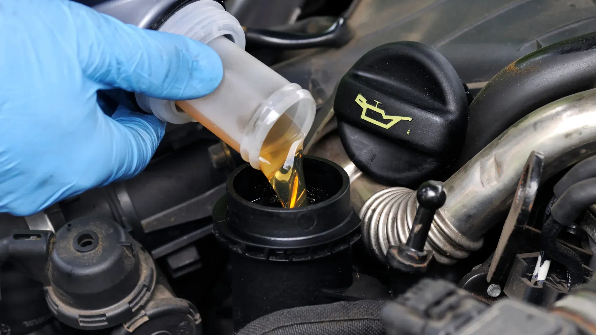 Full Synthetic Oil Change and Conventional Oil Change