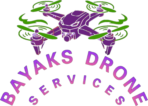 Bayaks Drone Services logo