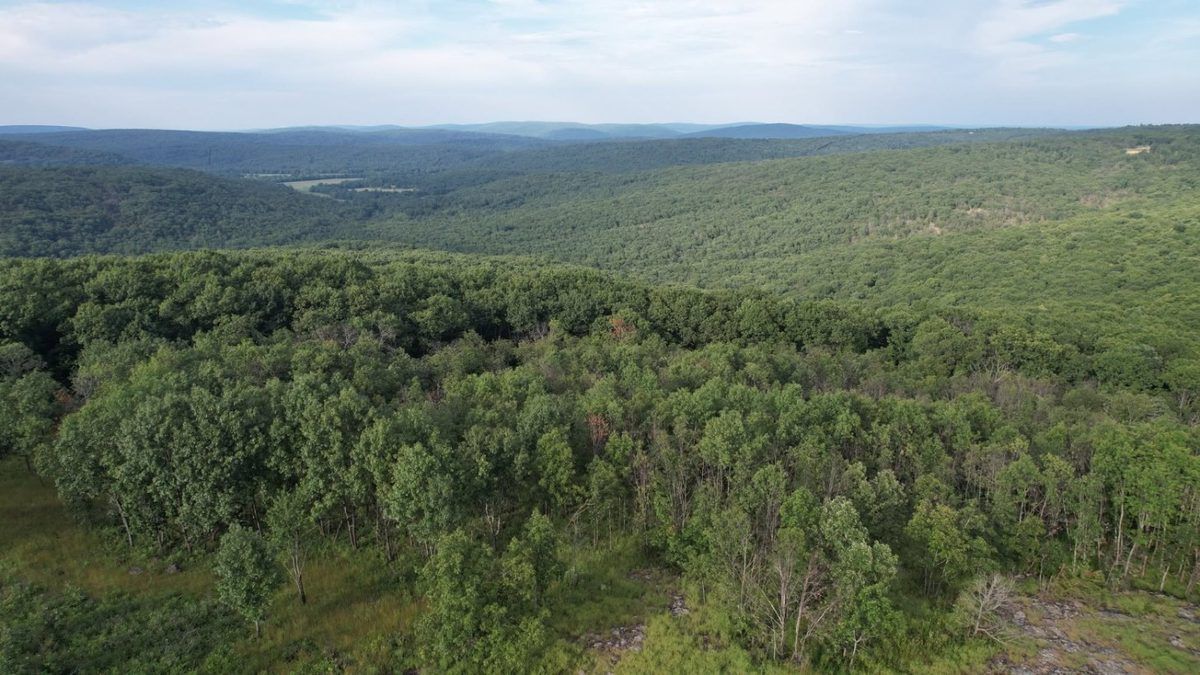 Aerial panorama of forested hills