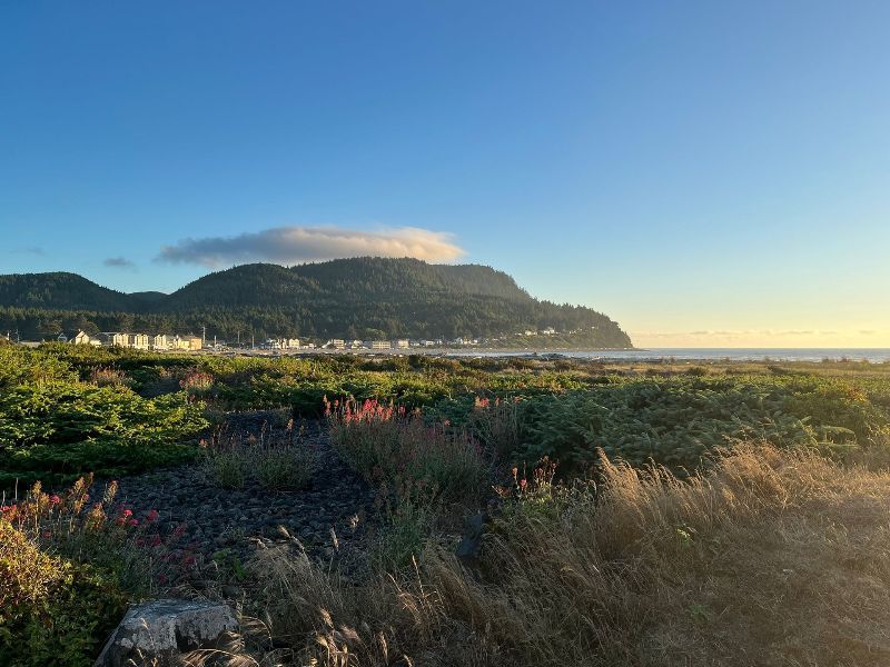 Seaside beach
