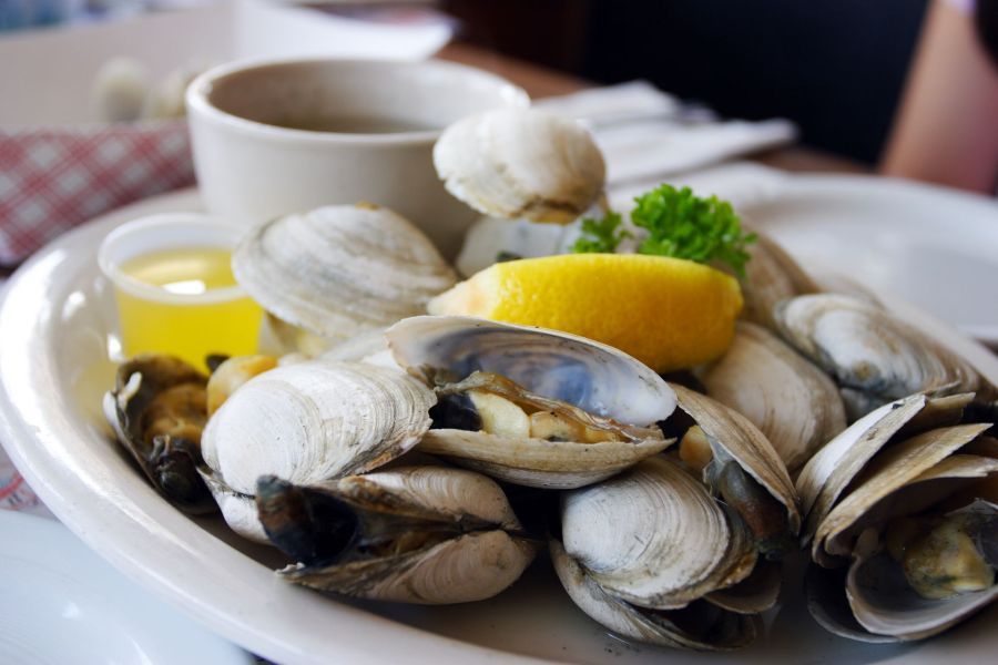 clams