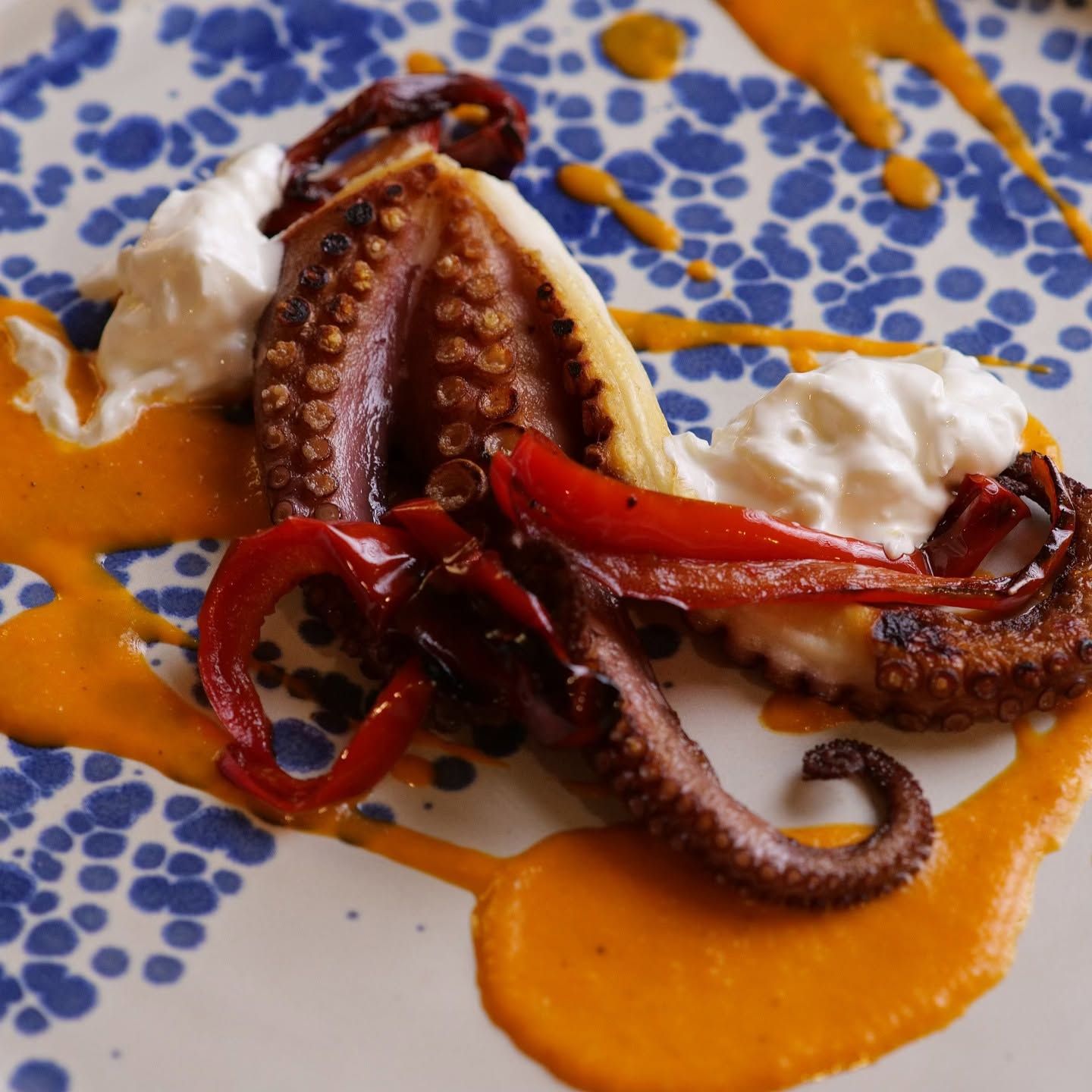 Tentacoli di polpo grigliati in salsa all'arancia con panna bianca e piatto decorato con motivi blu.