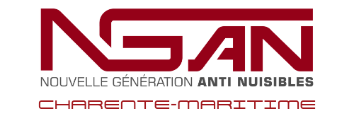 logo de l'entreprise ngan