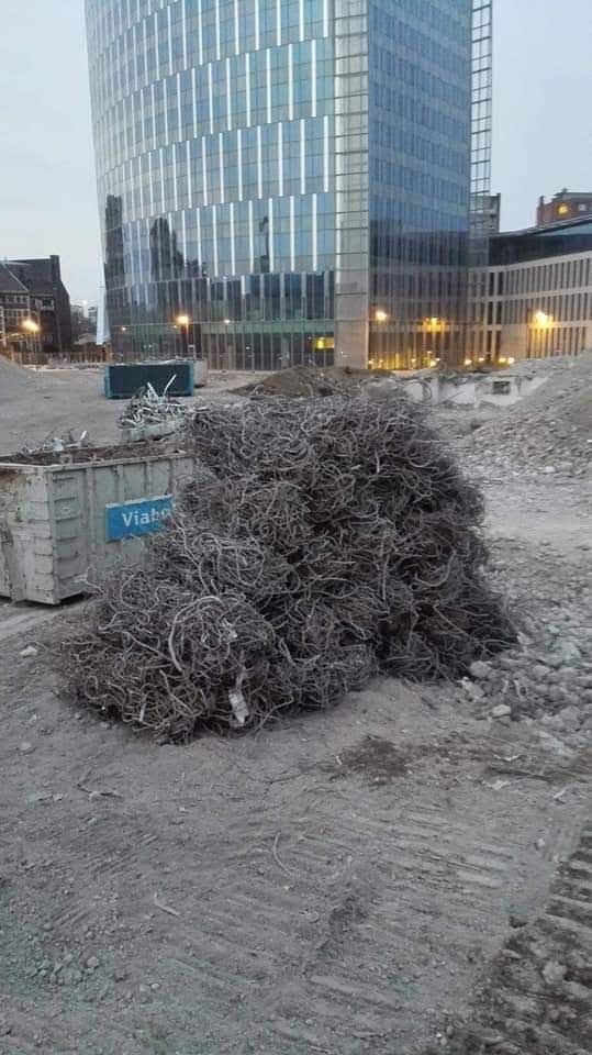 Met sneeuw bedekte struiken naast een modern glazen gebouw in een stedelijk gebied.
