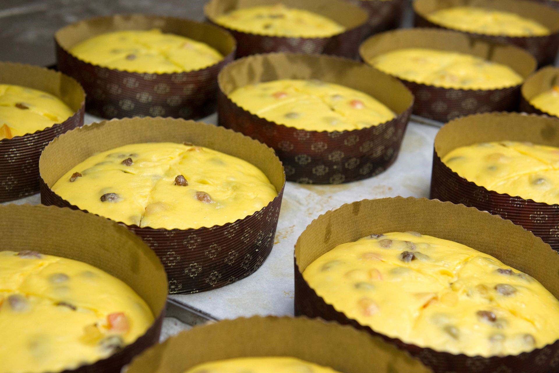 File di tortine alla crema cotte al forno in pirottini di carta marrone, guarnite con uvetta o gocce di cioccolato.