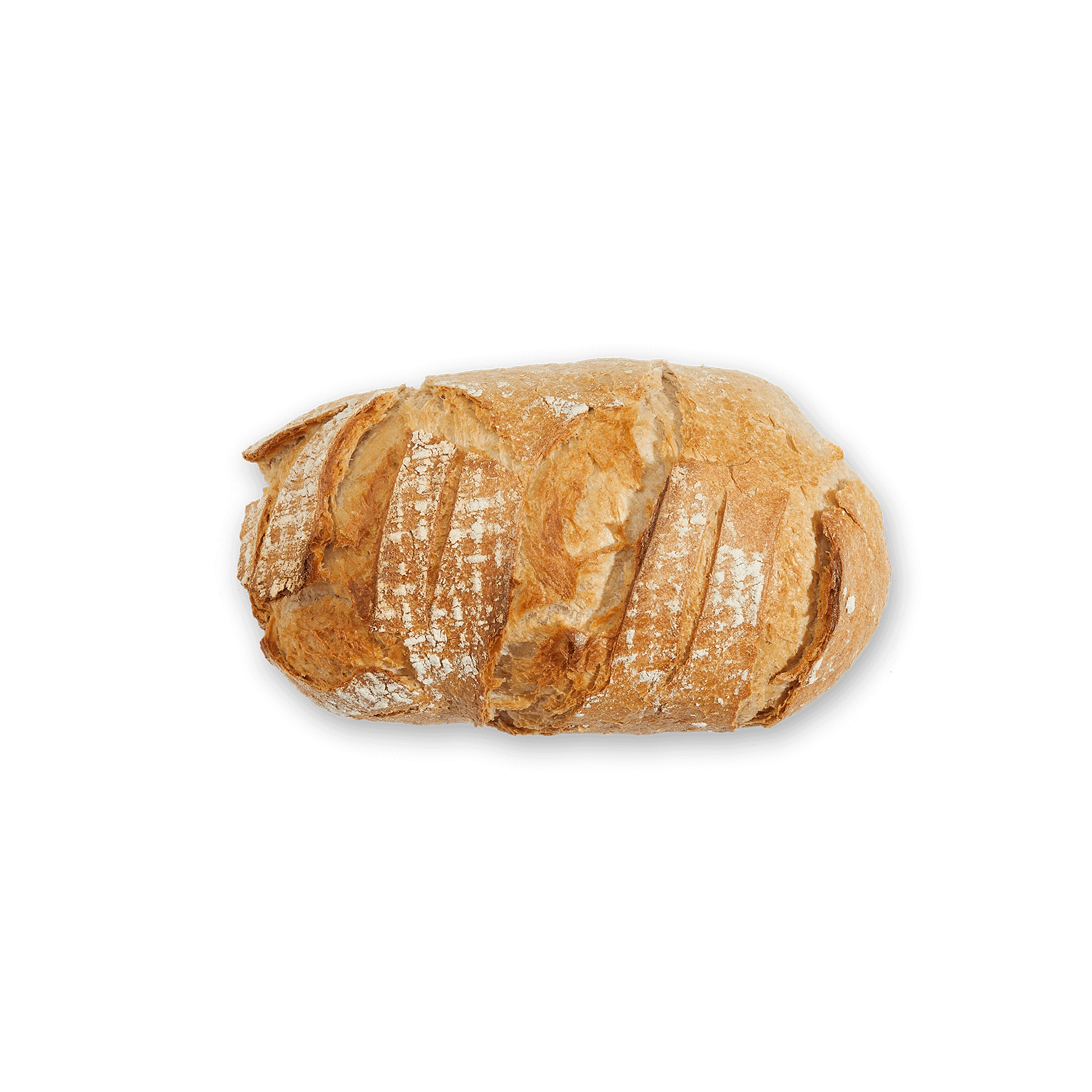 BROODHEEREN