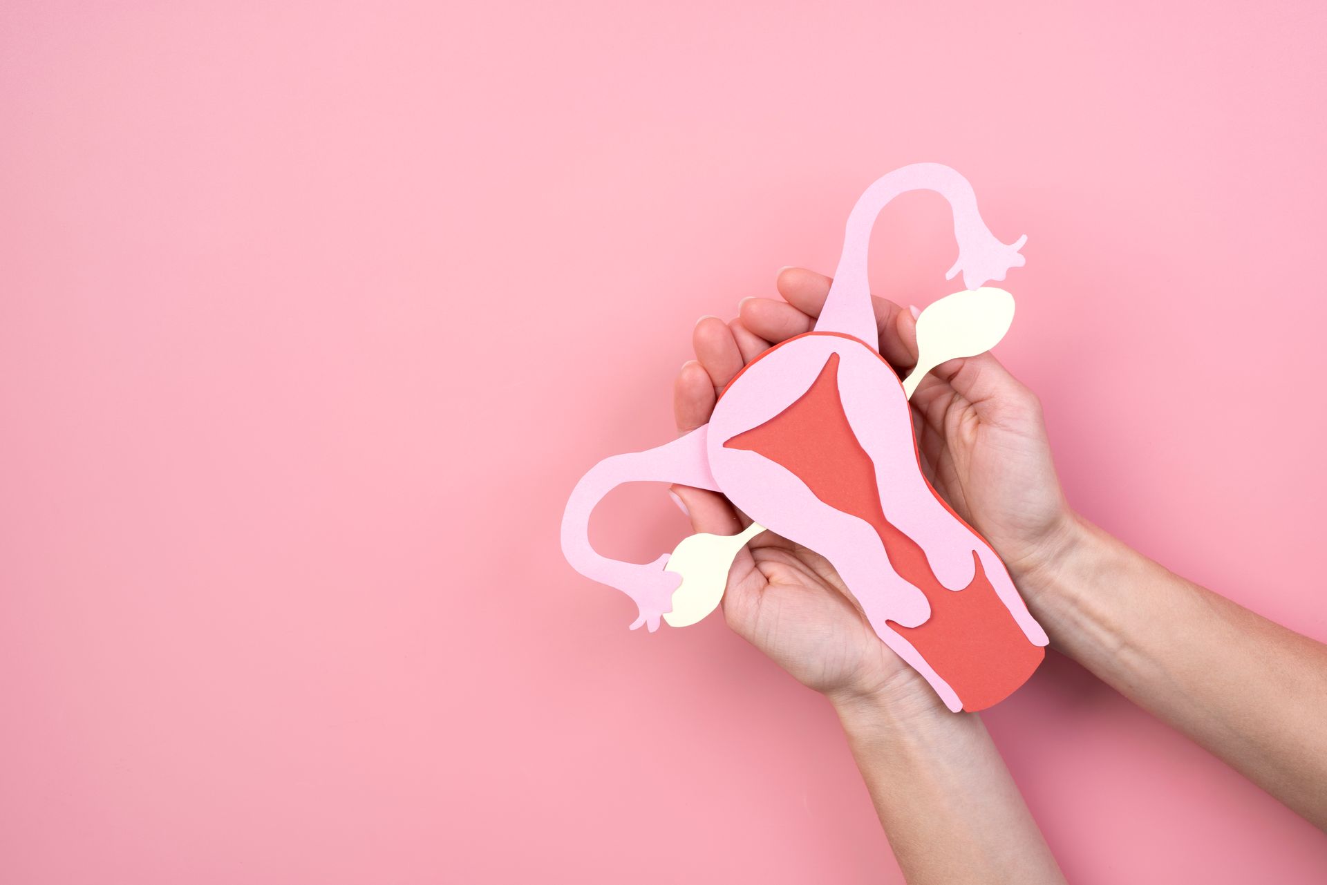vagina diagram