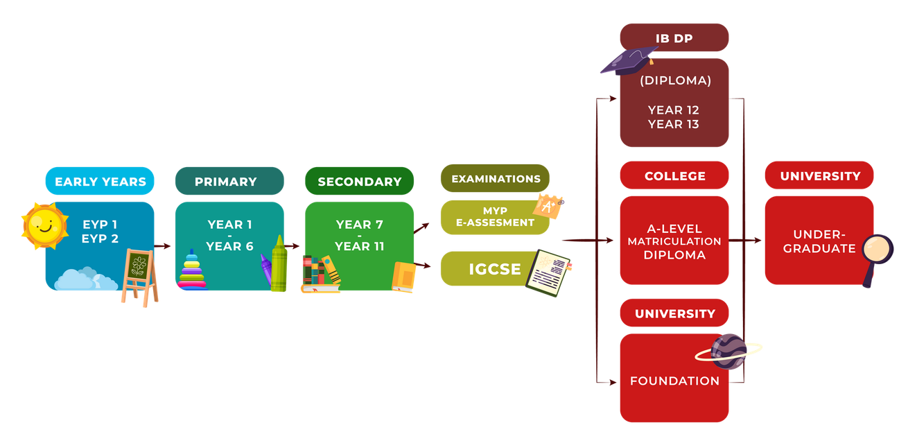 A flow chart showing a student's educational path from primary school through secondary school to college or university.