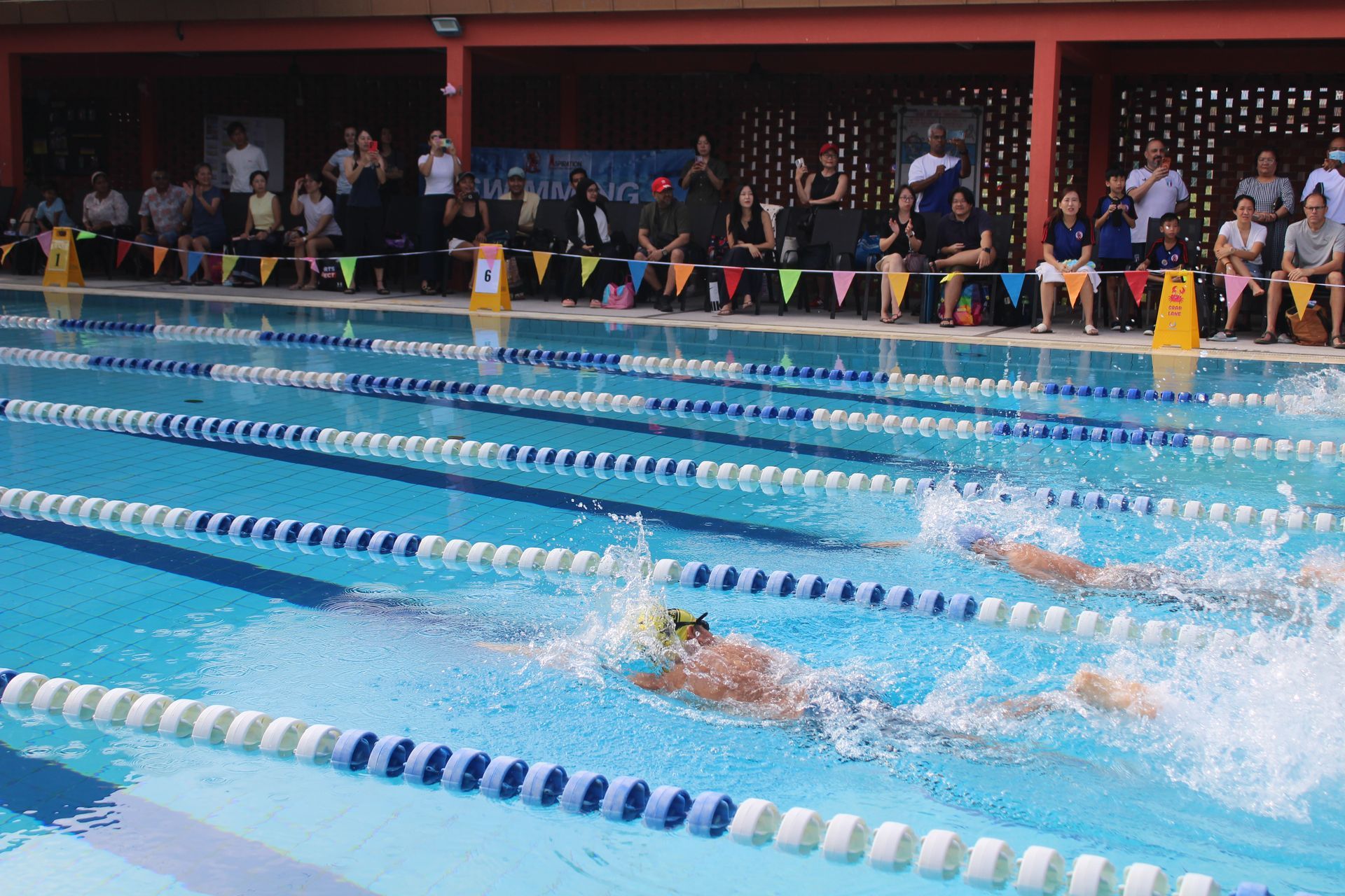 Students at primary school as swimmers racing through the pool while spectators cheer from the poolside.