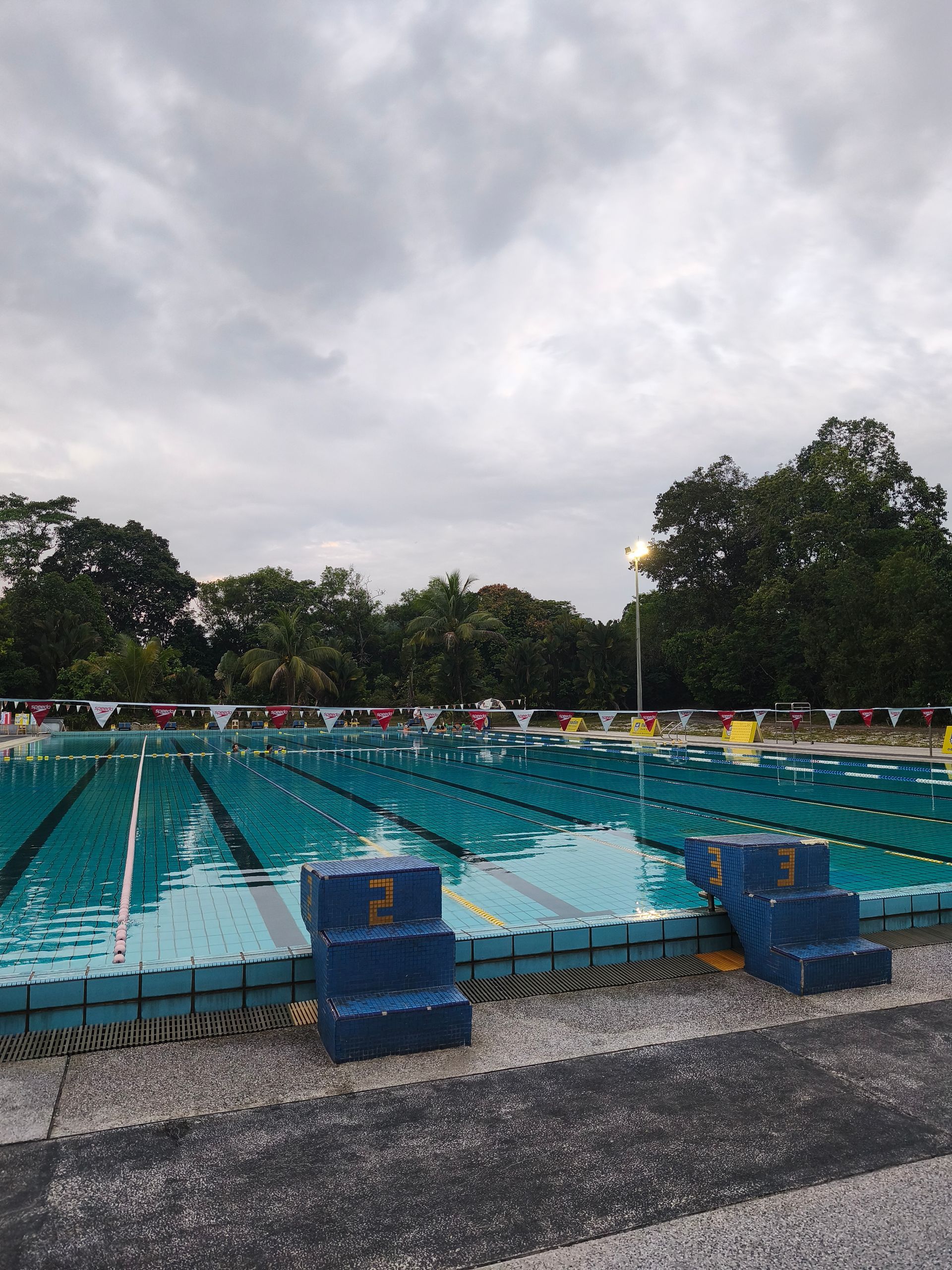 An outdoor swimming pool with blue starting blocks numbered 2 and 3, lane markers, and trees under a cloudy sky.