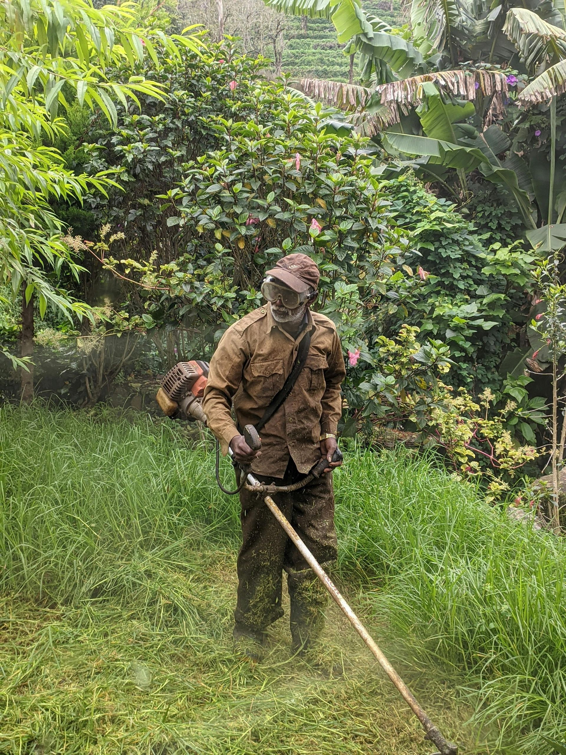Affordable landscaping company working on lawn care in Perry, GA