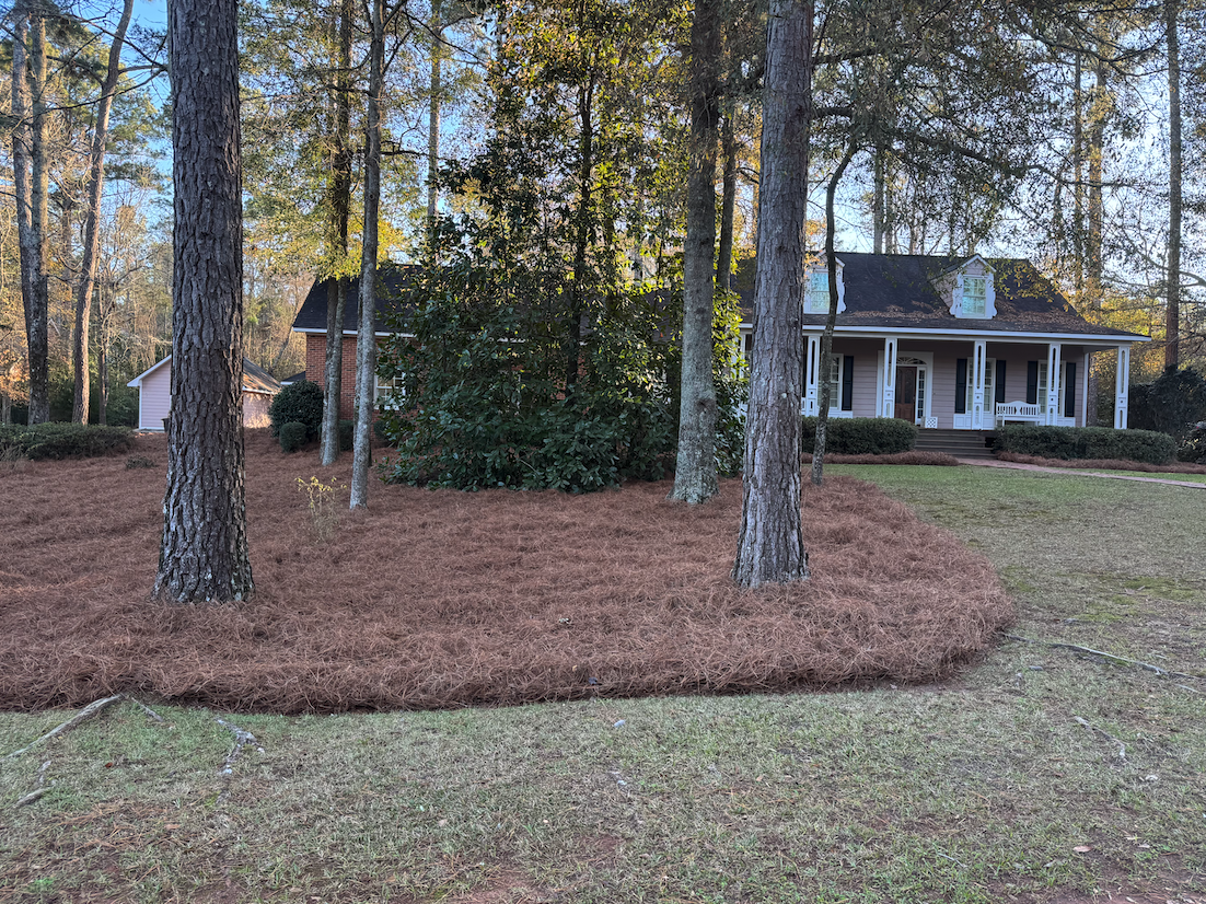 Backyard landscaping with river rock and shrubs in Albany, GA