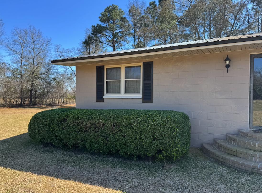 Tree trimming and pruning service in Americus, GA