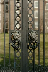 Black wrought iron gate with lion head door knockers.