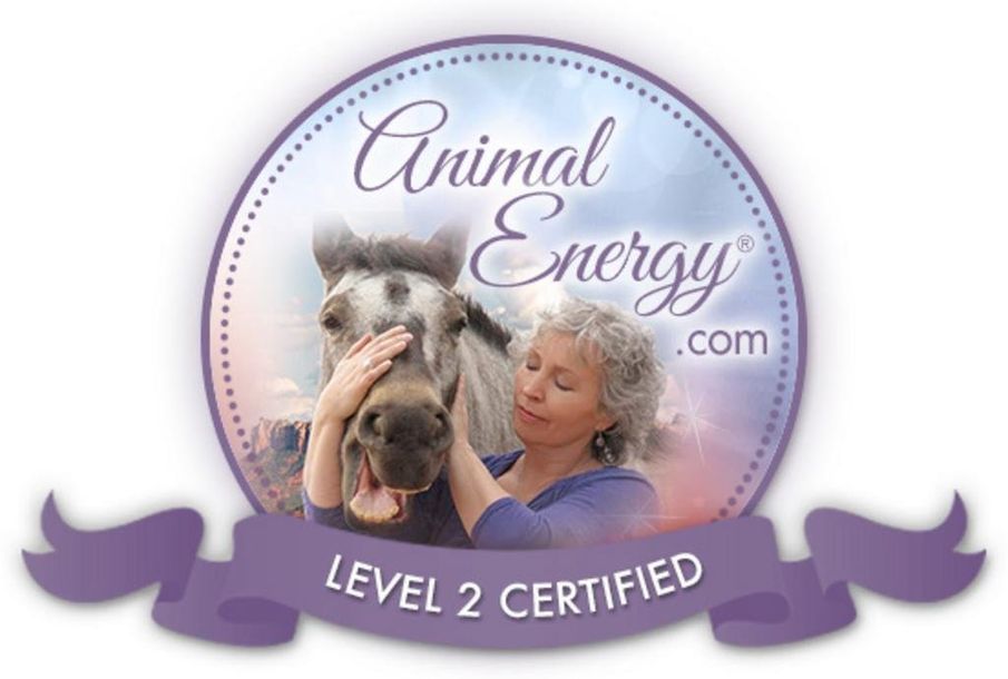 Certified Animal Communicator in Joshua Tree, CA