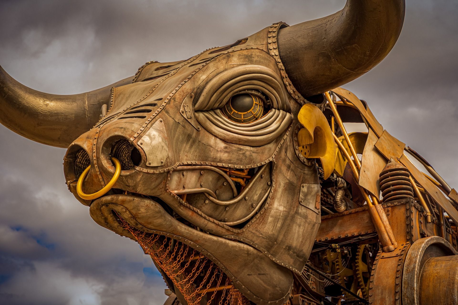 Image of Ozzy The Bull when in Centenary Square