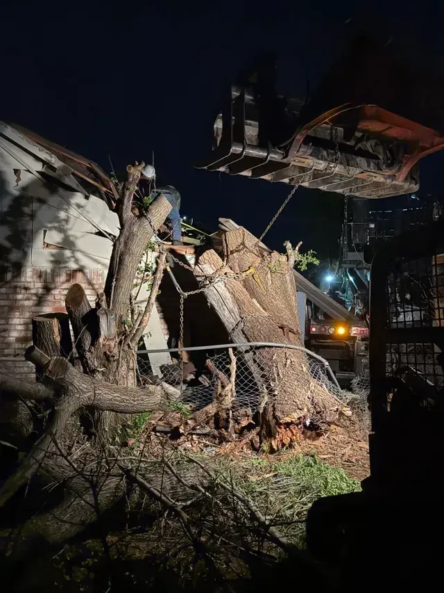 Collapsed tree and debris beside an excavator at night during cleanup.