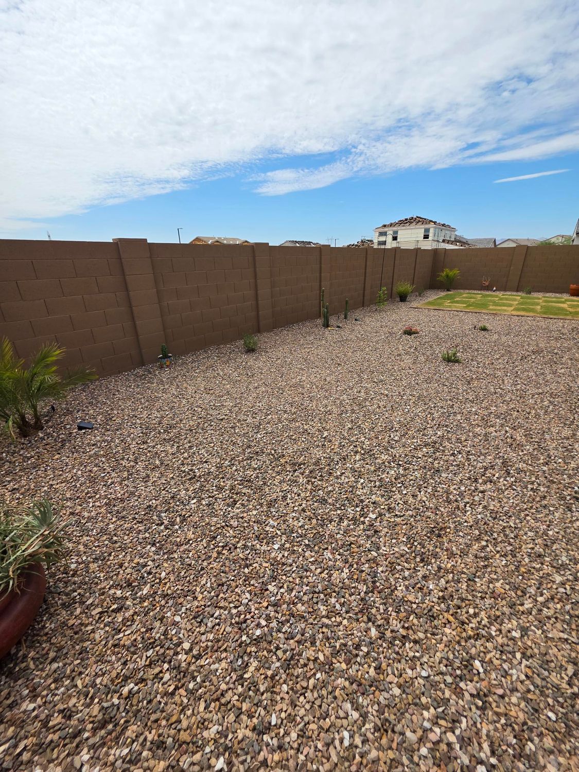 Gravel backyard with a concrete wall, small plants, and a house under a blue sky with clouds.