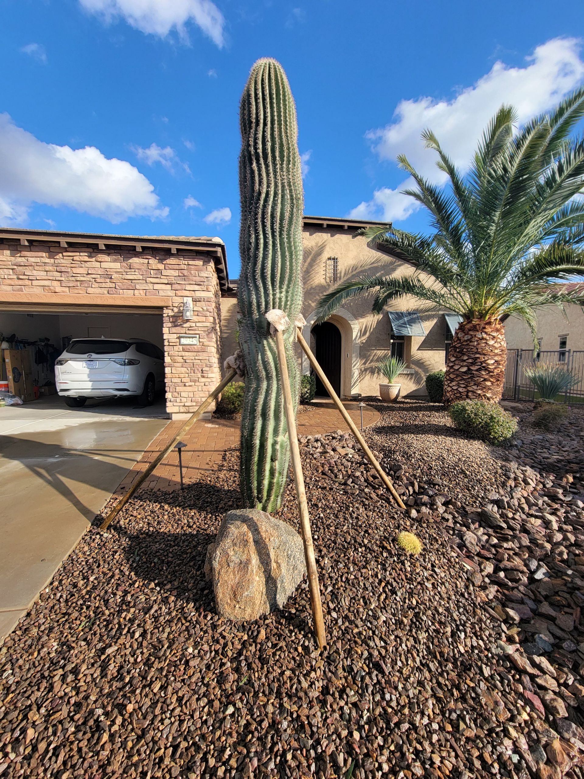 A large saguaro cactus is in front of a house.