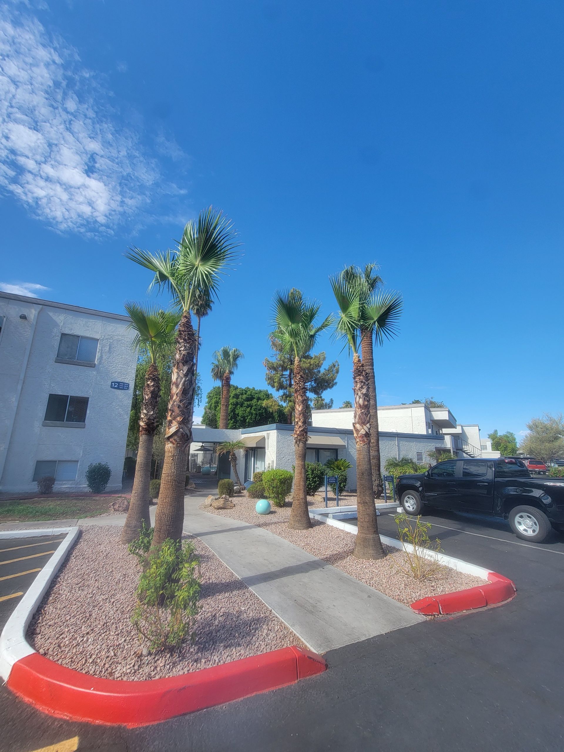 A row of palm trees are lined up in front of a building.