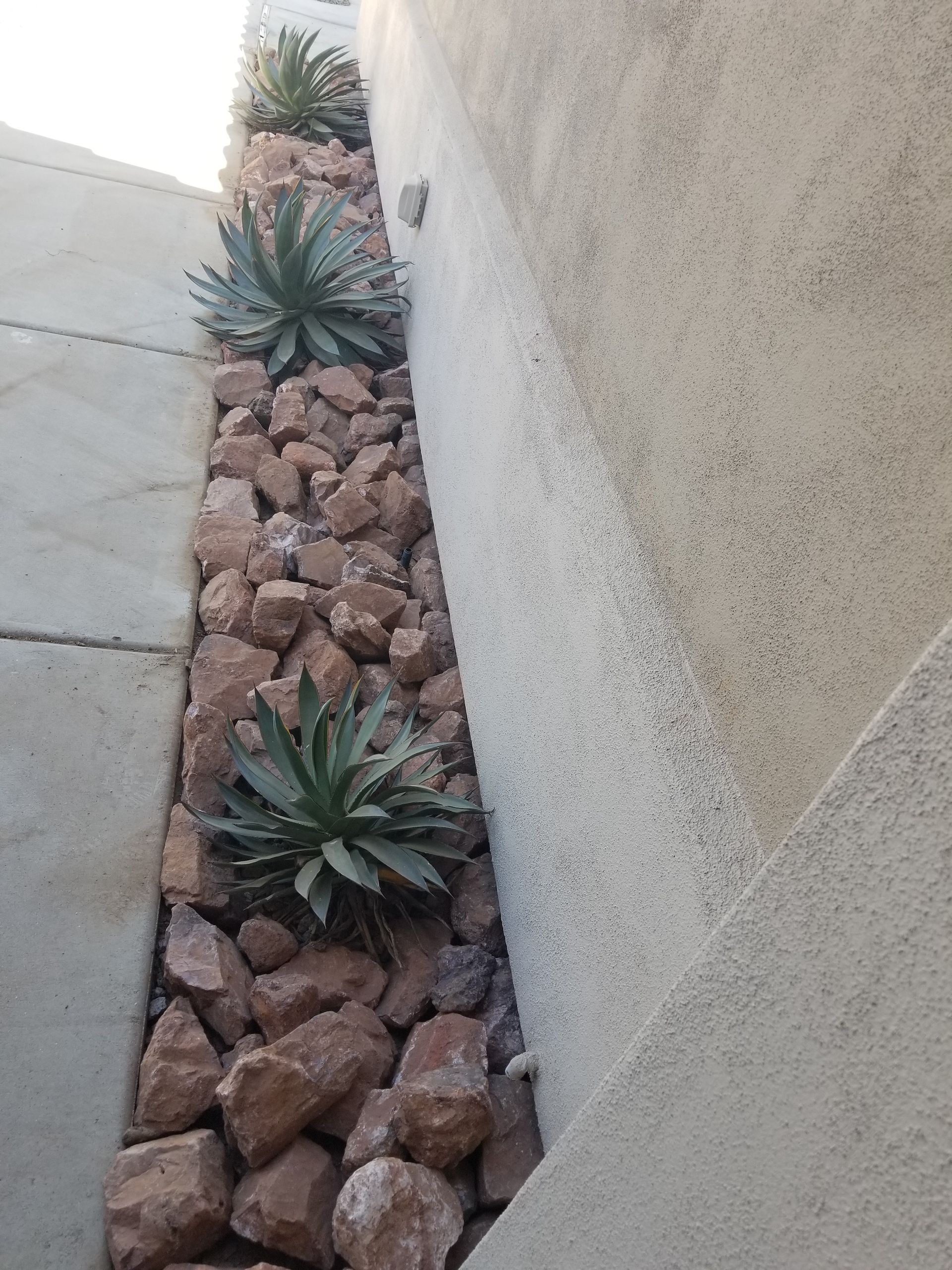A row of rocks and plants along a sidewalk next to a wall.