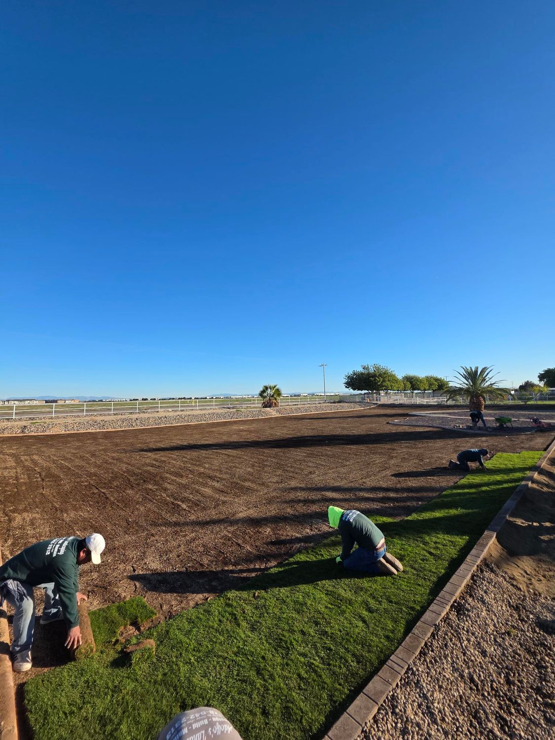 Two workers lay sod on a bare dirt field under a bright blue sky.
