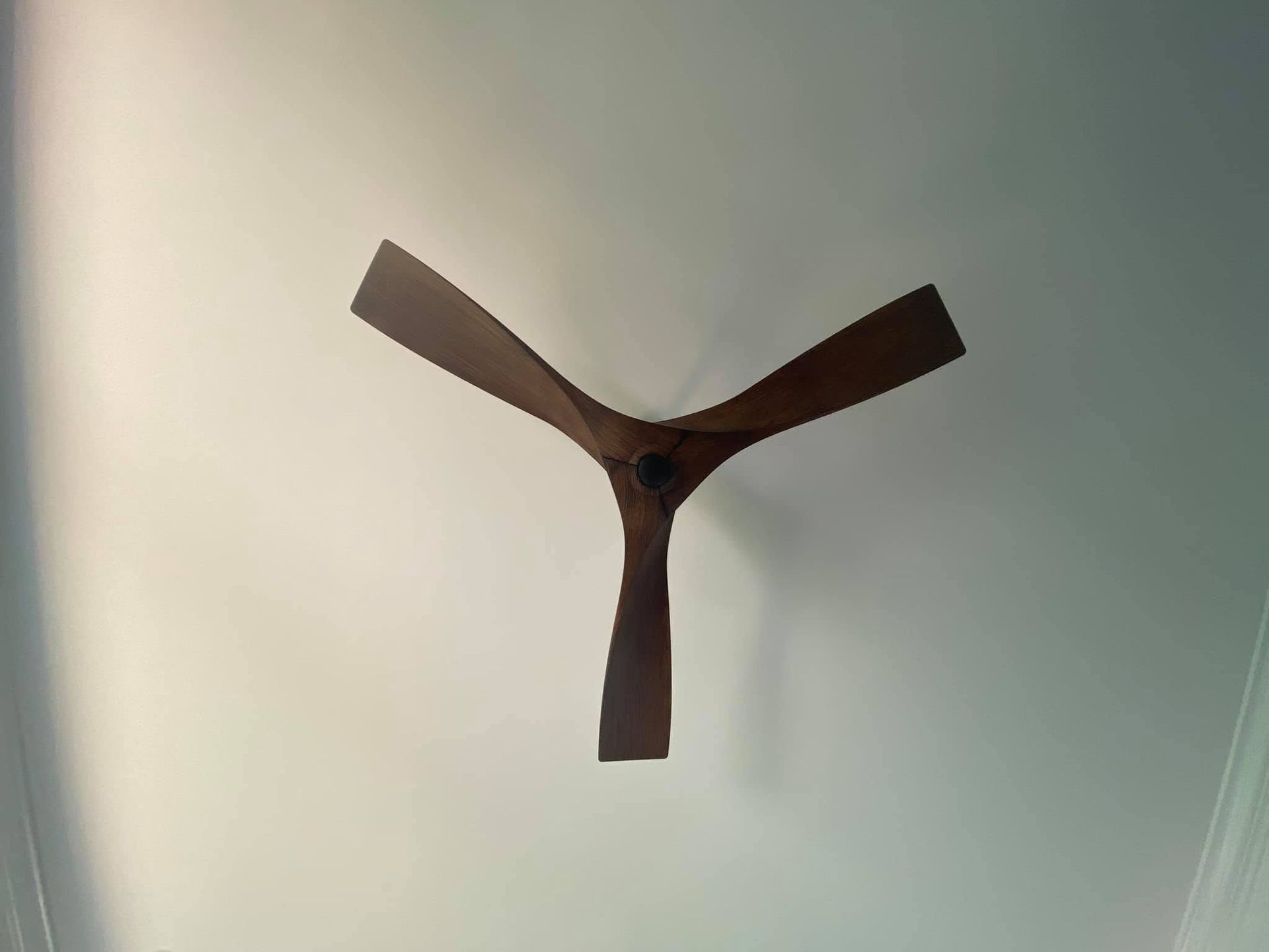 Ceiling fan with three dark blades against a light ceiling