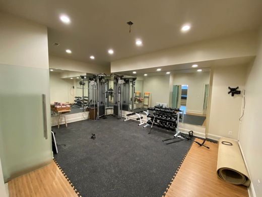 Empty gym room with cable machine, dumbbells, and dark carpet flooring in a mirrored studio