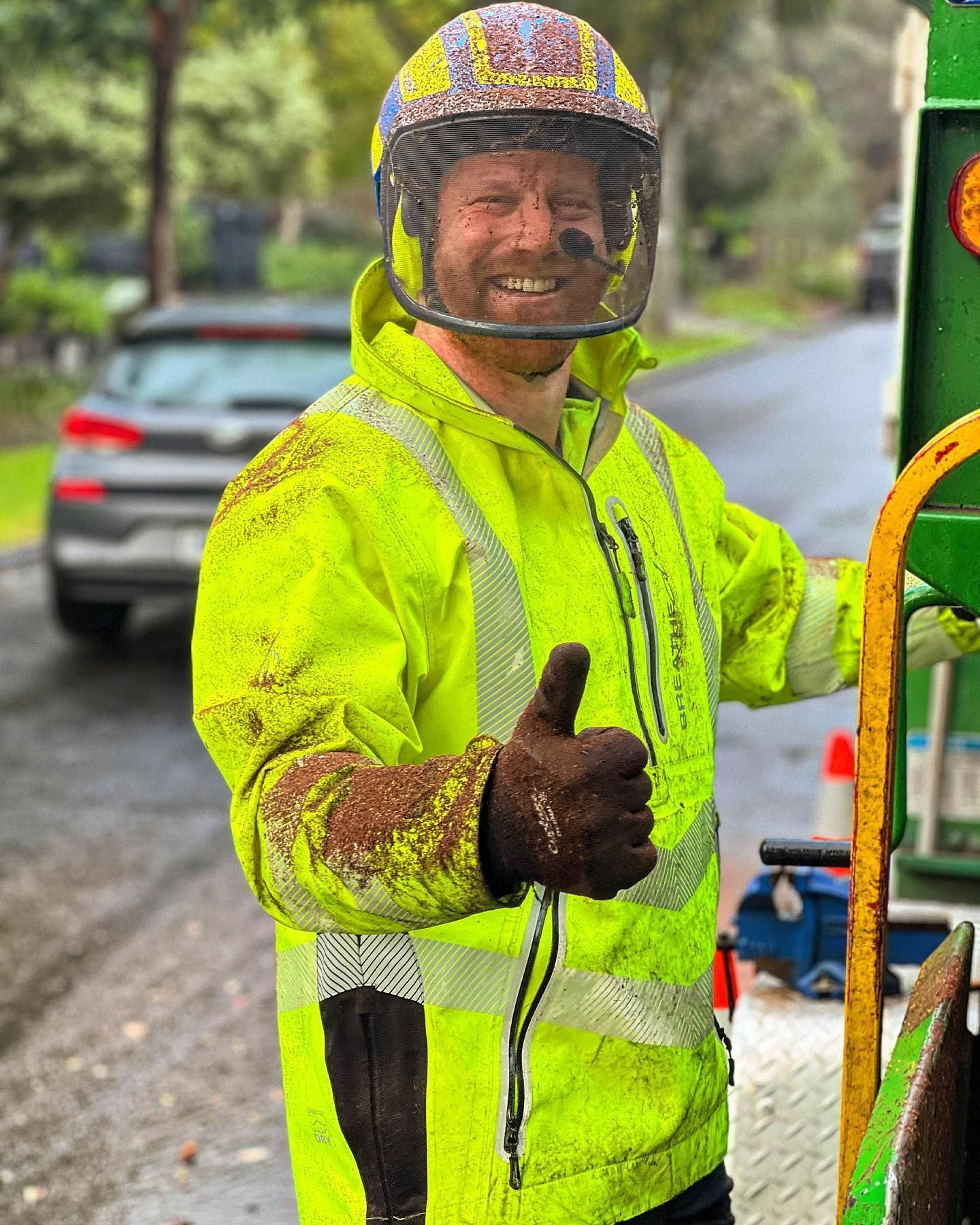 Tree Removal Specialists at Work — Melbourne, VIC — Precise Tree Services