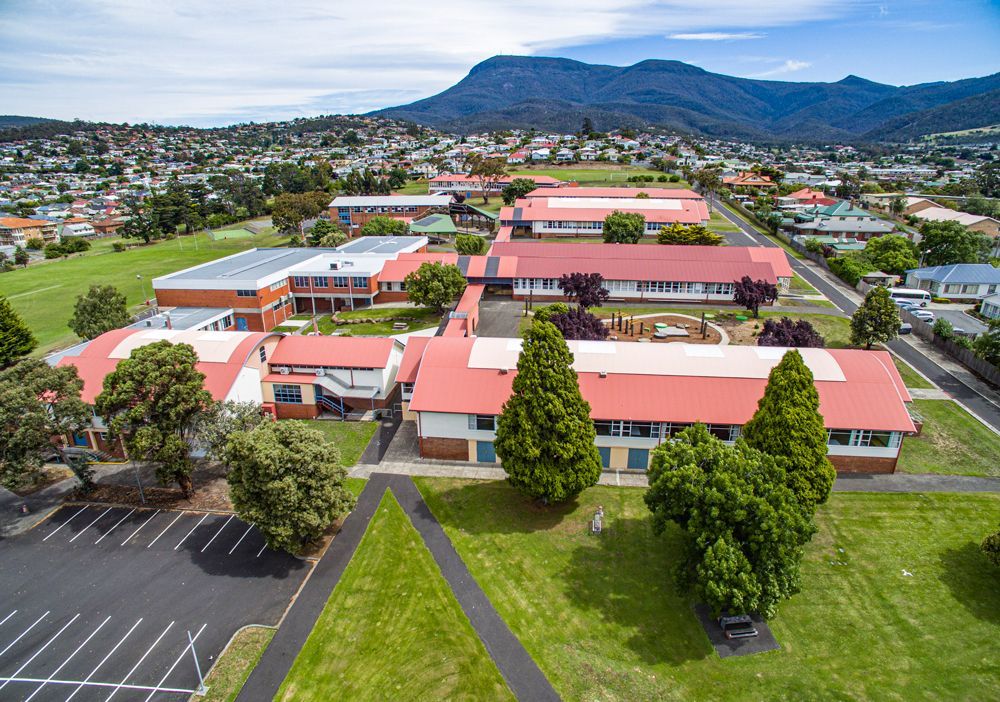 School Tree Removal — Melbourne, VIC — Precise Tree Services