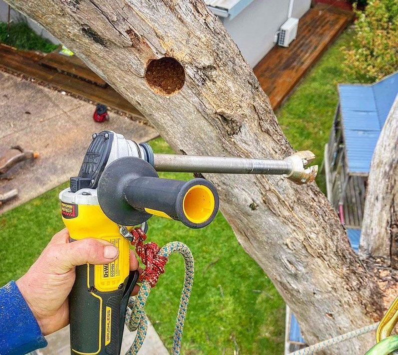 Habitat Creation — Melbourne, VIC — Precise Tree Services
