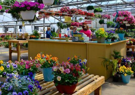 A woman is standing at a counter in a greenhouse surrounded by potted flowers.