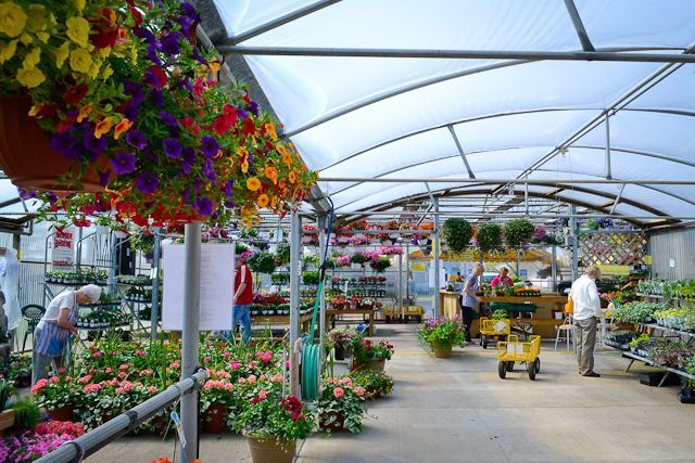 A greenhouse filled with lots of flowers and people